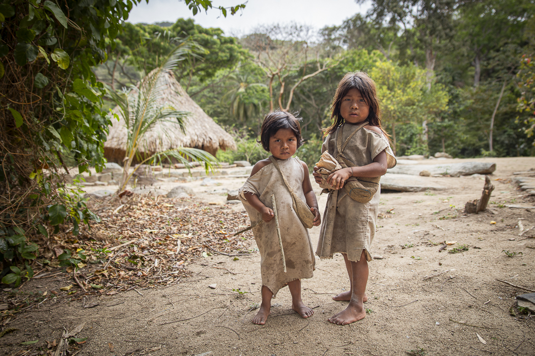 Kogis – Jeunes Pousses