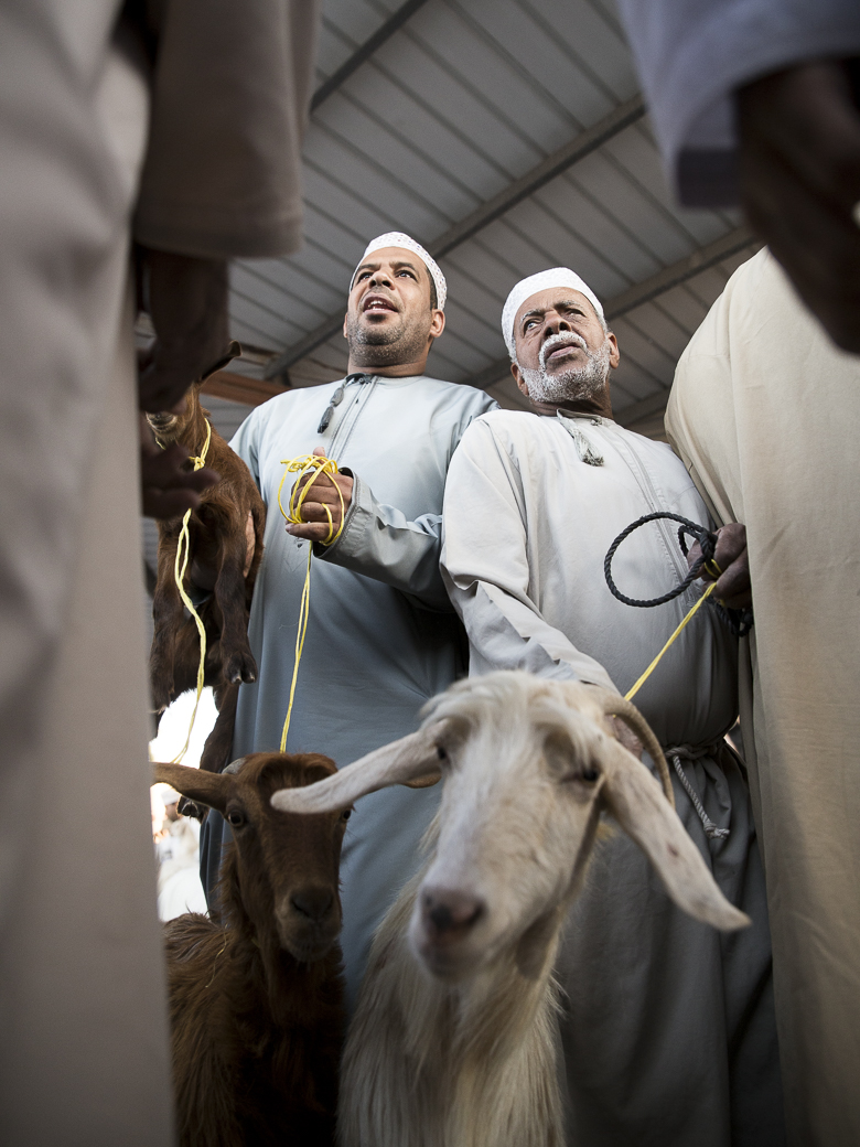 Marché aux chèvres : la lutte